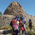 MurGEopark, online l’avviso per l’affidamento del programma di educazione ambientale 2024/2025