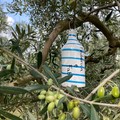 Festa dell'olio, al via le adozioni a distanza degli ulivi in Puglia