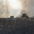 Vasto incendio tra Minervino Murge e Andria, 100 ettari a rischio