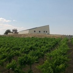 Cantine aperte a Natale 2015: a Minervino ci sarà Tor De' Falchi