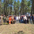 Presentata nel Bosco di Acquatetta la strategia di contrasto agli incendi per la stagione 2025