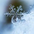 Scende la neve in città, scuole chiuse oggi e domani