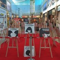 Contro la violenza sulle donne, in mostra al Gran Shopping le illustrazioni e le vignette di Stefania Spanò