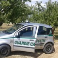 Contrasto alla criminalità rurale, in azione anche le Guardie Campestri