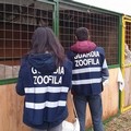 Nuovo corso per Guardie zoofile dell'Oipa Bat: aperte le iscrizioni