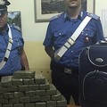 Scacco al narcotraffico, arrestato a Minervino Murge un operaio