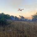 Vasto incendio a Minervino Murge, interviene anche un canadair