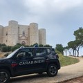 Con il ferragosto, cresce l'attenzione dei Carabinieri forestali nel parco dell'alta Murgia