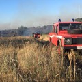 Incendi nel Parco dell'Alta Murgia, il report dell'estate 2017