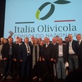 Importante novità: AssoPr.Oli Bari e Bat aderisce a  "Italia Olivicola "