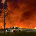 Giornata di fuoco a Minervino Murge, rogo alla zona industriale