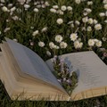 Letture a cielo aperto: domani l’evento a Minervino