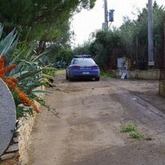 Randagi di Minervino dal Dog's Hostel di Trani a Tricase