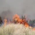 Incendio Bosco di Acquatetta, circa 20 gli ettari distrutti