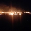 L'area di Minervino tra le più colpite dagli incendi nell'estate 2017