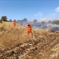 Brucia una pineta a Minervino Murge: a rischio oltre 400 ettari