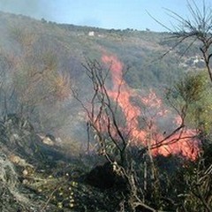 Stato di grave pericolosità per gli incendi boschivi su tutta la Puglia.