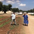 Agrididattica e orto dei nonni, anche in Puglia promossa l'agricoltura sociale