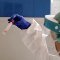 Coronavirus, 67 nuovi casi in Puglia di cui 6 nella Bat