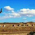 Fotogrammi della Puglia rurale, al via la seconda edizione