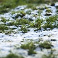 Tempo di bilanci per i Comuni pugliesi colpiti dalla neve