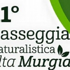 11° Passeggiata naturalistica dell'Altamurgia