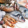  "Miglio 0 ", Coldiretti promuove la pesca trasparente