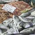 Stop al pesce fresco pugliese fino a inizio settembre, prorogato il fermo pesca