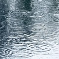 La Protezione Civile dirama un'allerta meteo: piogge attese su Minervino