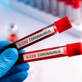 Coronavirus, 870 nuovi casi su 11mila tamponi