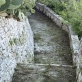 I volontari Lav ripuliscono il sentiero di Lama Matitani a Minervino