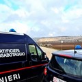 I Carabinieri sequestrano materiale esplodente a Minervino Murge, due arresti