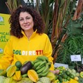 Clima tropicale in Puglia, impennata di coltivazioni di frutti esotici