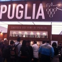  "Puglia Wine & EVO Road Show " ad ottobre a Roma e Milano