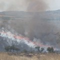 Ancora fiamme sul territorio murgiano, distrutti 350 ettari fra Minervino e Andria