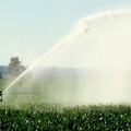 Stagione irrigua, il sindaco Bevilacqua: «Individuare soluzioni efficaci a sostegno del settore»