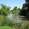 Il Parco del fiume Ofanto verso la trasformazione in Parco Nazionale