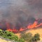 Fiamme sulla Murgia, paura a Minervino: scatta l’evacuazione nelle aree a rischio
