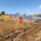 Prevenzione incendi boschivi: il Comune di Minervino dispone nuove misure di sicurezza