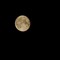 "La conquista della Luna": una serata tra storia e osservazione del cielo a Minervino Murge