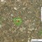 Xylella a Bisceglie: in Prefettura per seguire l'evoluzione