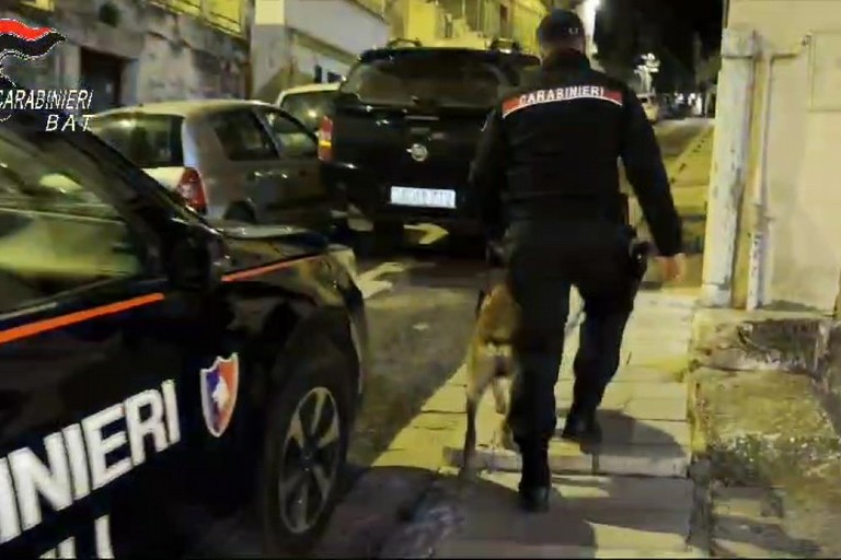 Sgominate tre importanti "piazze di spaccio" a Minervino Murge