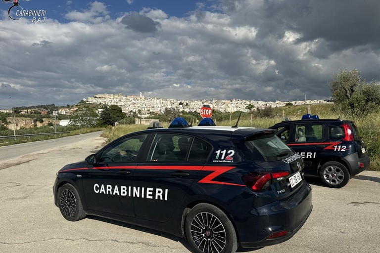 Carabinieri di Minervino Murge