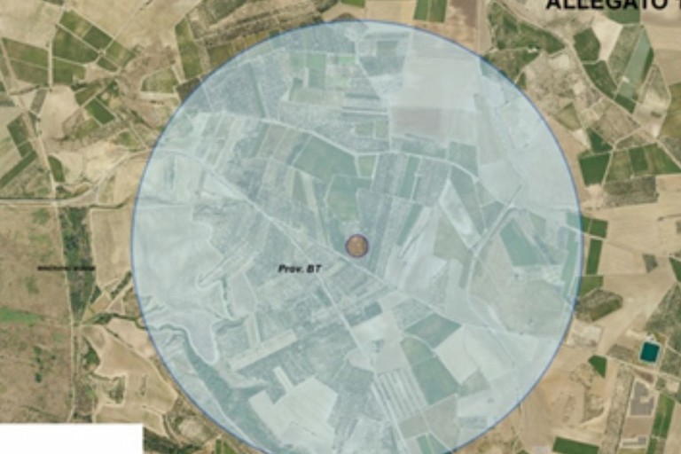 Xylella