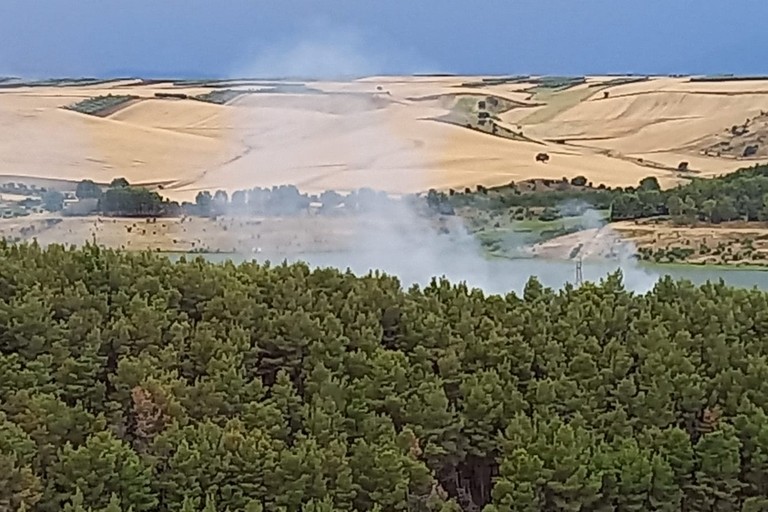 Incendio in contrada Cornutiello a Minervino Murge