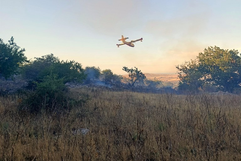 Vasto incendio a Minervino Murge, interviene anche un canadair