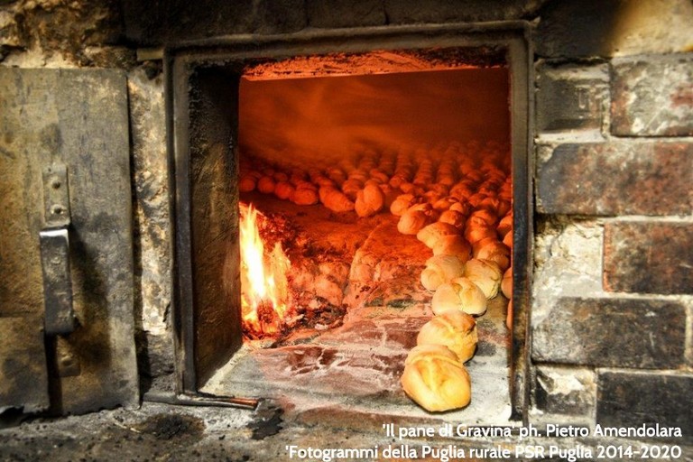 pane cotto al forno