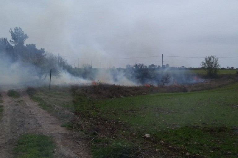 incendio zona di Castel del Monte