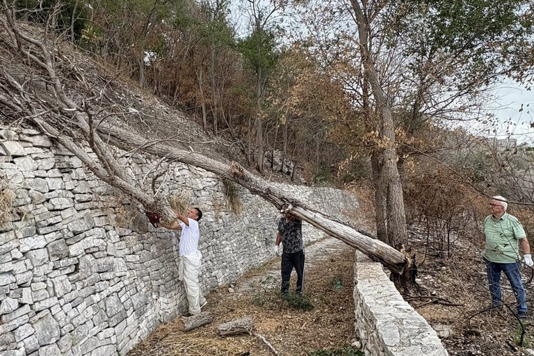 I volontari LAV rimuovono un albero spezzato sul sentiero Lama Matitani a Minervino