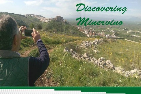 discovering minervino